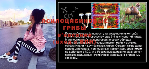 MDMA Белокуриха